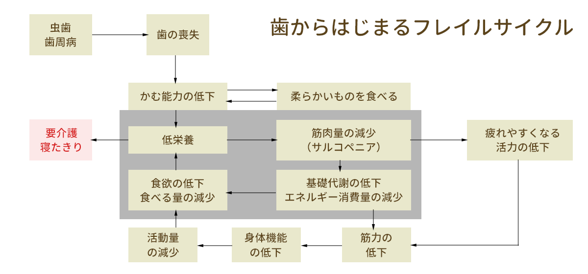 フレイルサイクル