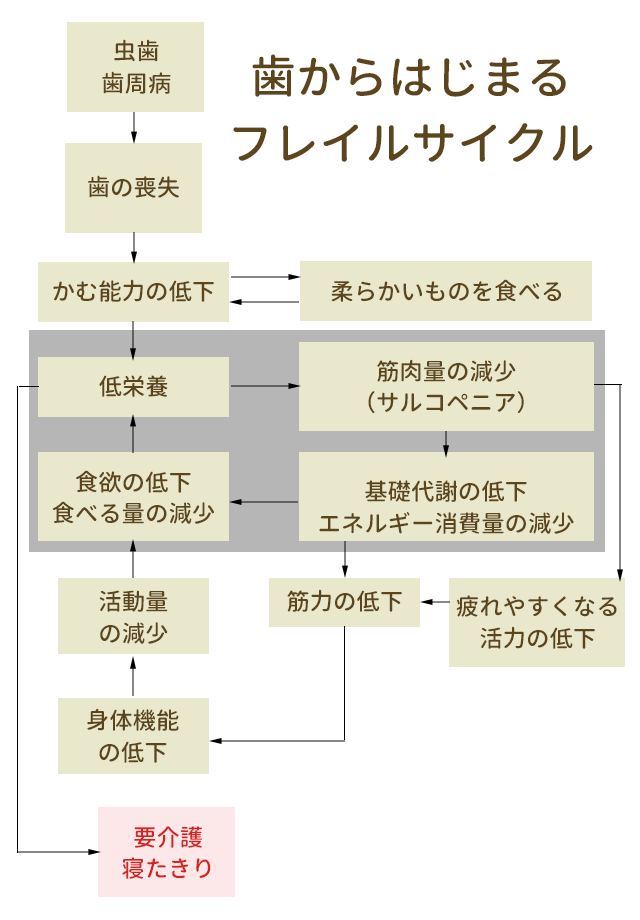 フレイルサイクル